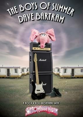 The Boys of Summer - Dave Bartram - cover