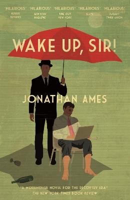 Wake Up, Sir! - Jonathan Ames - cover