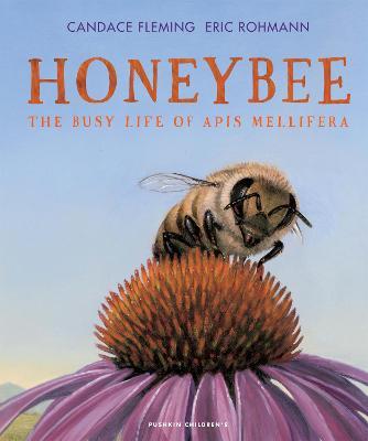 Honeybee: The Busy Life of Apis Mellifera - Candace Fleming - cover