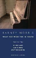 What you Wish for in Youth: Three Short Plays - Barney Norris - cover