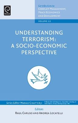 Understanding Terrorism: A Socio-Economic Perspective - cover