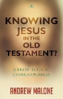 Knowing Jesus in the Old Testament?: A Fresh Look At Christophanies - Andrew Malone - cover