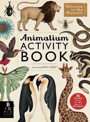 Animalium Activity Book - cover