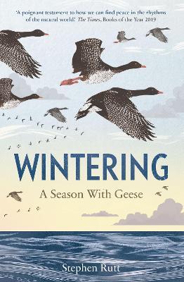 Wintering: A Season With Geese - Stephen Rutt - cover