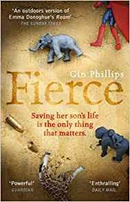 Fierce: ‘Electrifyingly suspenseful’ Ashley Audrain, author of THE PUSH - Gin Phillips - cover