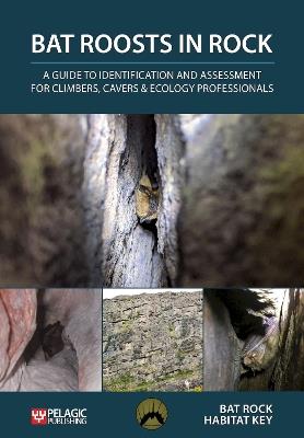 Bat Roosts in Rock: A Guide to Identification and Assessment for Climbers, Cavers & Ecology Professionals - Bat Rock Habitat Key - cover