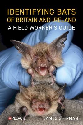 Identifying Bats of Britain and Ireland: A Field Worker’s Guide - James Shipman - cover
