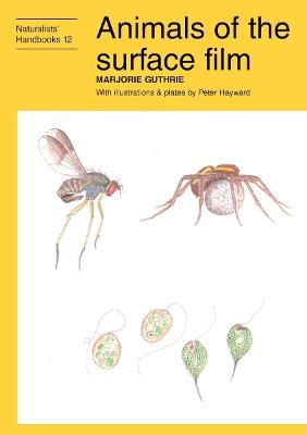 Animals of the surface film - Marjorie Guthrie - cover