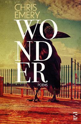 Wonder - Chris Emery - cover