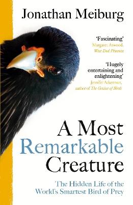 A Most Remarkable Creature: The Hidden Life of the World’s Smartest Bird of Prey - Jonathan Meiburg - cover