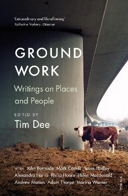 Ground Work: Writings on People and Places - Tim Dee - cover