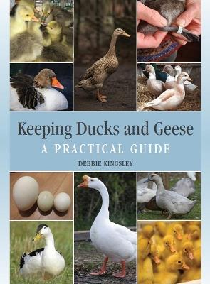 Keeping Ducks and Geese: A Practical Guide - Debbie Kingsley - cover