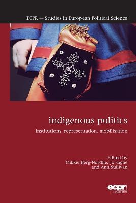 Indigenous Politics: Institutions, Representation, Mobilisation - cover