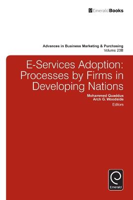 E-Services Adoption: Processes by Firms in Developing Nations - cover