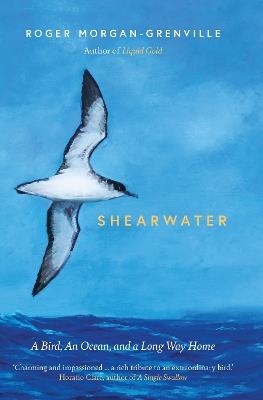 Shearwater: A Bird, an Ocean, and a Long Way Home - Roger Morgan-Grenville - cover
