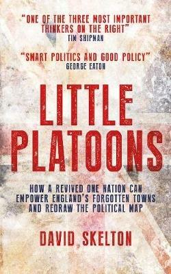 Little Platoons: How a revived One Nation can empower England's forgotten towns and redraw the political map - David Skelton - cover