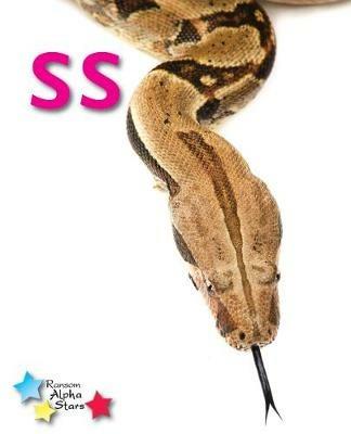 Alpha Stars ss - Rickard Stephen - cover