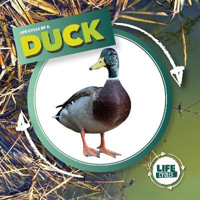 Duck - Kirsty Holmes - cover
