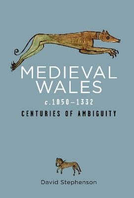 Medieval Wales c.1050-1332: Centuries of Ambiguity - David Stephenson - cover