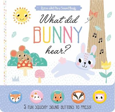 What Did Bunny Hear? - cover