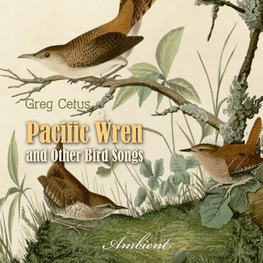 Pacific Wren and Other Bird Songs