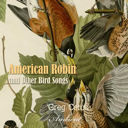 American Robin and Other Bird Songs