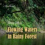 Flowing Waters in Rainy Forest