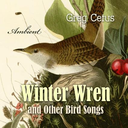 Winter Wren and Other Bird Songs