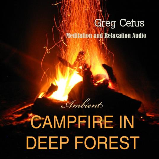 Campfire In Deep Forest