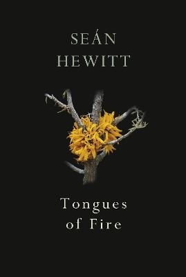 Tongues of Fire - Seán Hewitt - cover