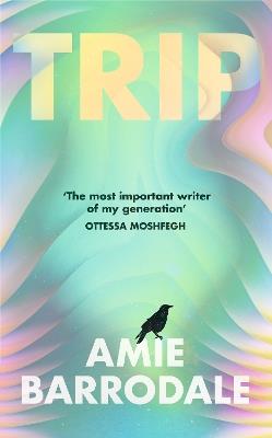Trip - Amie Barrodale - cover