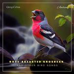 Rose-breasted Grosbeak and Other Bird Songs