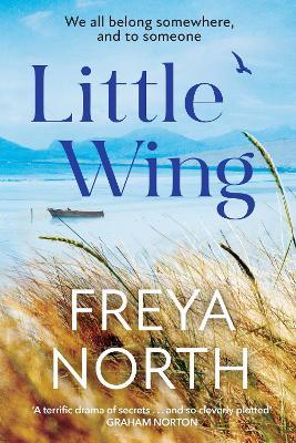 Little Wing: A beautifully written, emotional and heartwarming story - Freya North - cover