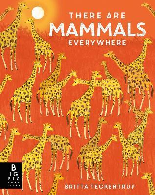 There are Mammals Everywhere - Camilla De La Bedoyere - cover
