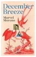December Breeze: A masterful novel on womanhood in Colombia
