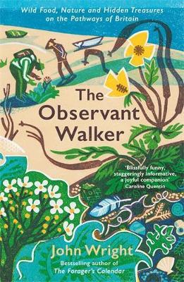 The Observant Walker: Wild Food, Nature and Hidden Treasures on the Pathways of Britain - John Wright - cover