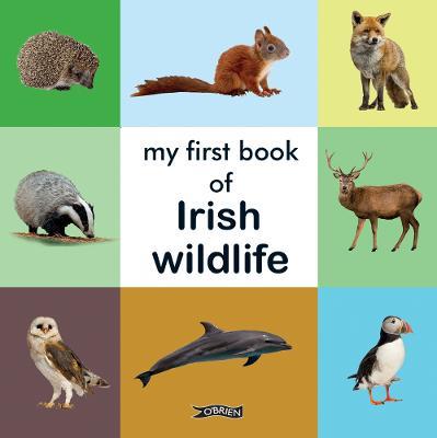 My First Book of Irish Wildlife - cover