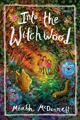 Into the Witchwood - Méabh McDonnell - cover