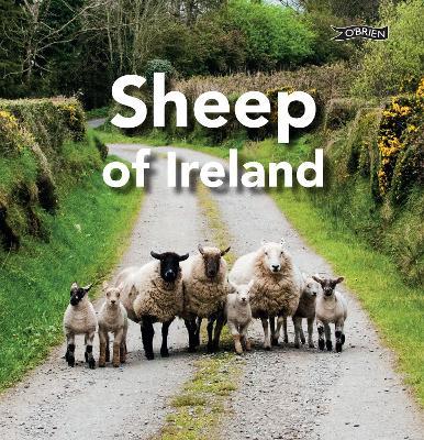 Sheep of Ireland - Sarah O'Connor - cover