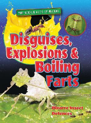 Disguises, Explosions and Boiling Farts - Ruth Owen - cover