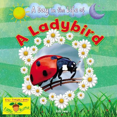 A Ladybird - Ruth Owen - cover