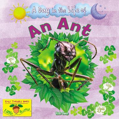 An Ant - Ruth Owen - cover
