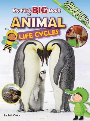 My First Big Book of Animal Life Cycles - Ruth Owen - cover