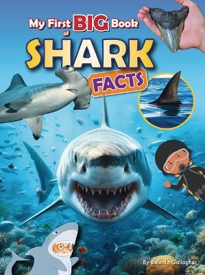 My First Big Book of Shark Facts - Belinda Gallagher - cover