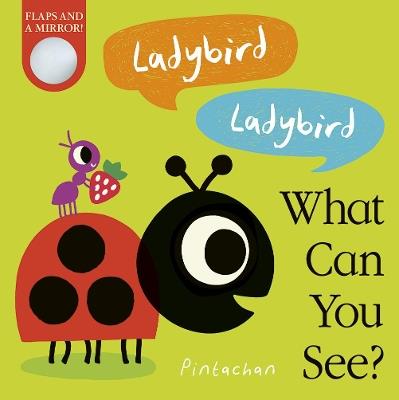Ladybird! Ladybird! What Can You See? - Amelia Hepworth - cover