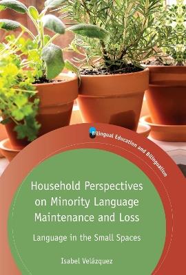 Household Perspectives on Minority Language Maintenance and Loss: Language in the Small Spaces - Isabel Velázquez - cover