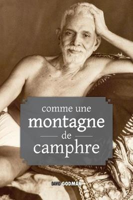 Comme une montagne de camphre: Enseignements de Ramana Maharshi et Annamalai Swami - David Godman - cover