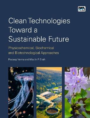 Clean Technologies Toward a Sustainable Future: Physicochemical, Biochemical and Biotechnological Approaches - cover