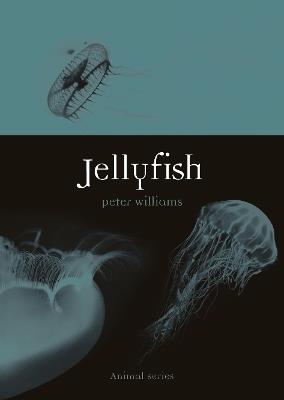 Jellyfish - Peter Williams - cover