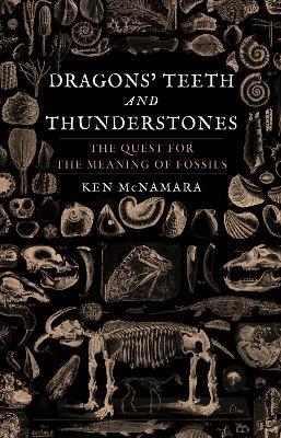 Dragons’ Teeth and Thunderstones: The Quest for the Meaning of Fossils - Ken McNamara - cover